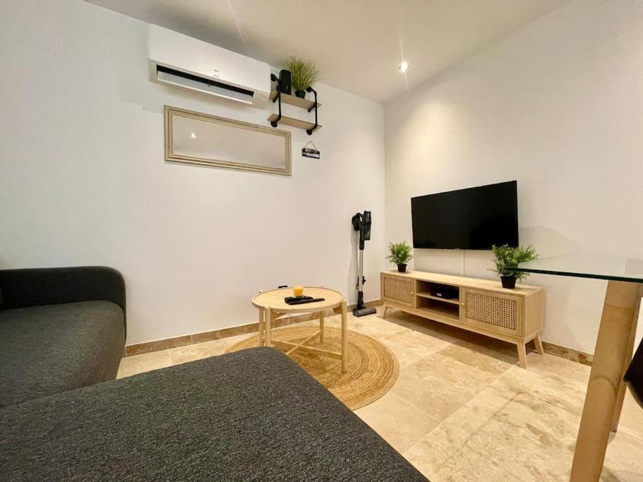 Le Saint-jean - Coeur De La Cite Medievale Appartement